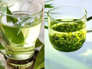 Uống nước chè mỗi ngày giúp giảm cân, ngăn ngừa ung thư