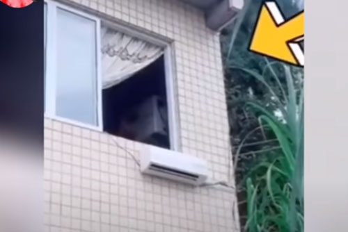 CLIP: Những khoảnh khắc triệu view trên mạng xã hội TikTok