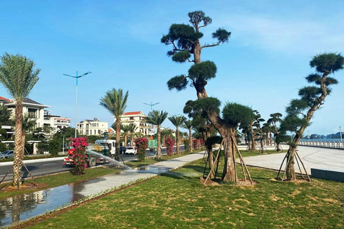 Trong 'bão' dịch Covid-19 có nên đầu tư bất động sản?