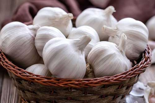 Cách bảo quản tỏi để cả năm cũng không bị mốc hỏng