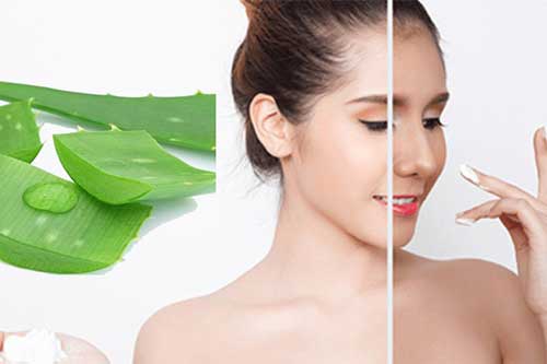 Những công dụng tuyệt vời của nha đam trong việc làm đẹp