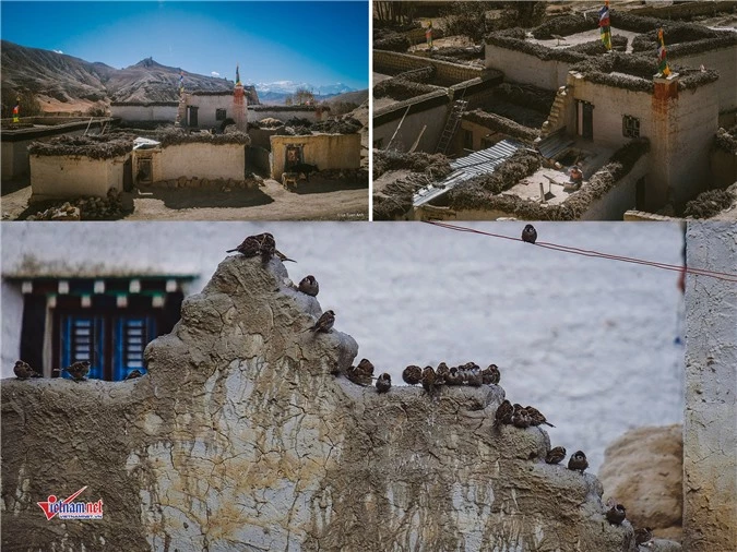 Mustang,Nepal,Tây Tạng,Du lịch nước ngoài