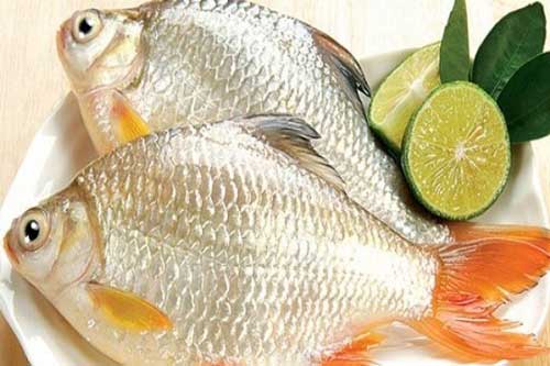 Mẹo giữ cá tươi lâu và luôn thơm ngọt như mới