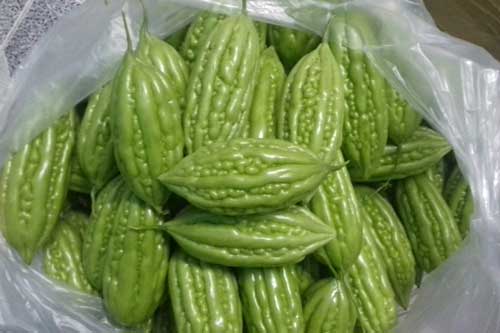 Mướp đắng mát và bổ nhưng ăn theo kiểu này dễ "đầu độc" cơ thể