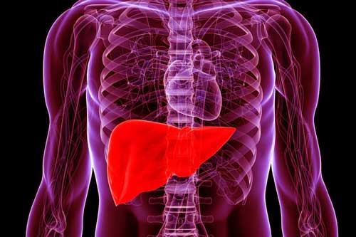 Thực phẩm ăn vào mát gan - thải độc cơ thể hiệu quả ngang uống thuốc bổ, rất nhiều người bỏ phí