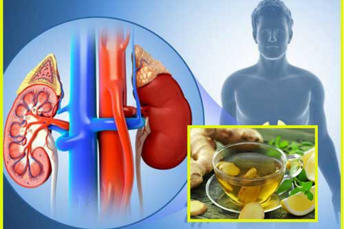 Loại nước lọc sạch cặn bẩn trong thận, thanh lọc độc tố cơ thể, nên uống hằng ngày