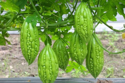 Top 10 loại rau củ 'tắm' hóa chất nhiều nhất và mẹo chọn rau ngon, sạch