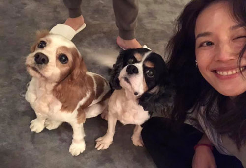 Thư Kỳ tự tin khoe mặt mộc, chụp ảnh cùng thú cưng