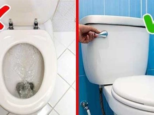 Cảnh báo lỗi sai rất nhiều người Việt vẫn mắc: Không đậy nắp bồn cầu khi xả nước và mối nguy hại khó lường