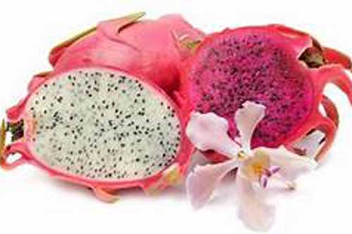 Loại thực phẩm "đại kỵ" với thanh long, ăn chung kẻo có ngày gặp họa