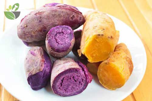 Những lý do khiến bạn tích cực ăn khoai lang mỗi ngày