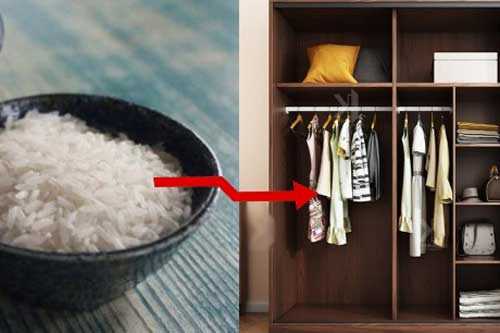 Vợ học hàng xóm đặt bát gạo vào tủ quần áo, sáng dậy thấy ngỡ ngàng khi nhìn kết quả