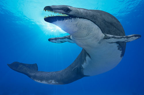 Top 12 thủy quái khổng lồ thống trị đại dương từng tồn tại trên Trái Đất