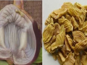 Bài thuốc chữa "bách bệnh" từ màng mề gà