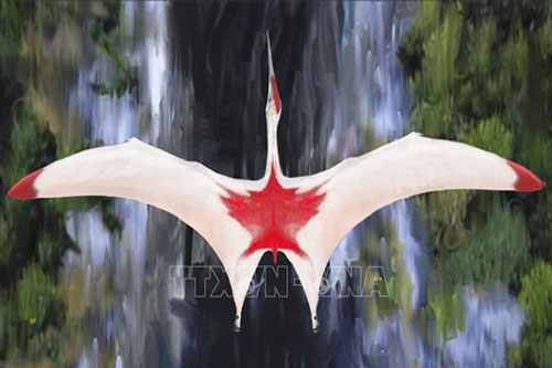 1001 thắc mắc: Loài thằn lằn nào phun máu từ mắt tử chiến với kẻ thù?