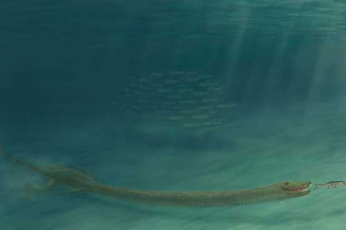 Choáng váng với hài cốt "thủy quái ma cổ dài" gấp 3 lần thân người