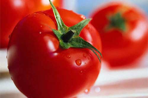 Thấy cà chua có dấu hiệu này cần vứt ngay, đừng dại "tiếc của" mà mang thêm bệnh tật