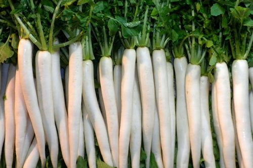 Những sai lầm tai hại khi chế biến và ăn củ cải trắng hại cả nhà dễ mắc ung thư mà nhiều người Việt vẫn phạm phải