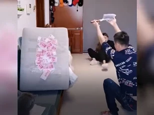 CLIP: Cười thư giãn với những tình huống hài hước trên mạng xã hội TikTok
