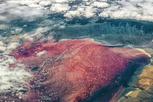 Khám phá hồ nước khiến mọi sinh vật hoá đá