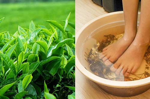 Vo nát lá chè xanh, đun sôi để ngâm chân "thổi bay" mùi hôi khó chịu