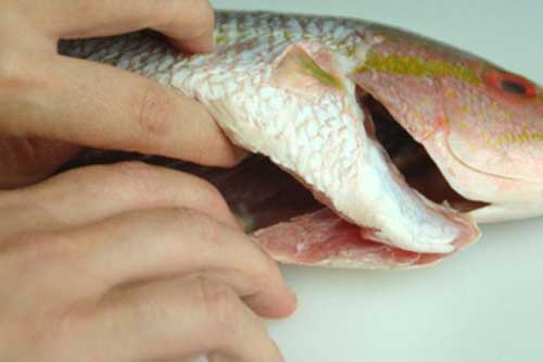 Ăn những bộ phận này của cá dễ khiến cả nhà bị ngộ độc