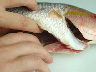 Ăn những bộ phận này của cá dễ khiến cả nhà bị ngộ độc