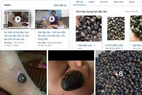 Sự thật về hạt đậu Lào có giá “cắt cổ” được quảng cáo là "thần dược" vẫn được nhiều người lùng mua