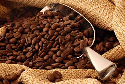 Xuất khẩu cà phê đạt 1,8 tỷ USD, chờ 'bứt tốc' ở thị trường Mỹ, EU