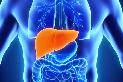 Điểm danh 5 loại thực phẩm mát gan - giải độc, lấy lại cân bằng cho gan hiệu quả số 1