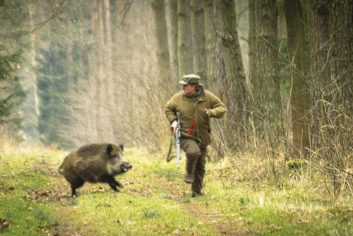 Động vật có trả thù giống như con người không?