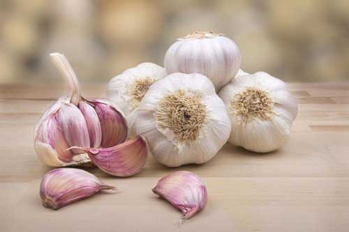 Tận dụng tờ báo cũ theo cách này, bảo quản tỏi cả năm cũng không lo mốc hỏng