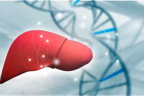 Những điều cần làm vào buổi sáng để lá gan khỏe mạnh, số 1 vô cùng đơn giản