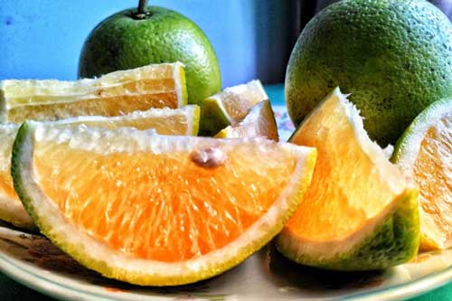 Những lợi ích bất ngờ của quả cam với sức khỏe, cân nặng cũng giảm nhanh trông thấy