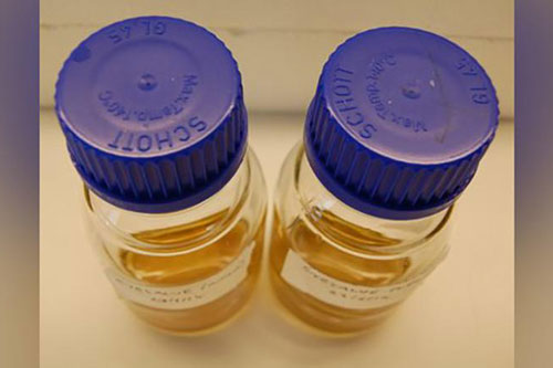 Phương thuốc cổ 1.000 năm có thể trở thành kháng sinh tiềm năng