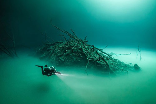 Top 8 thứ kỳ lạ và bí ẩn đến khó tin mà con người bắt gặp trên biển