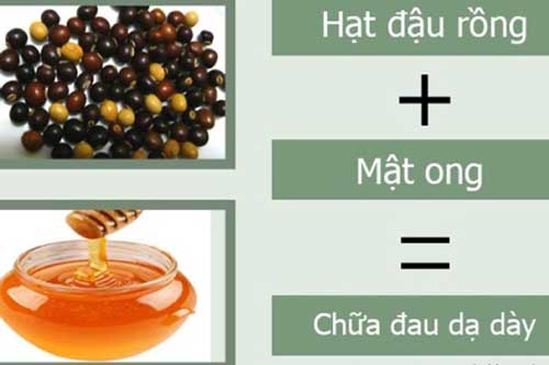 Loại đậu mọc hoang nhiều người vứt bỏ lại là vị thuốc "thần kỳ" chữa đau dạ dày