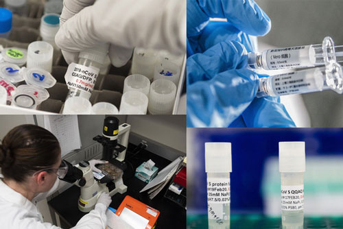 Thế giới ghi nhận 20,2 triệu người mắc COVID-19