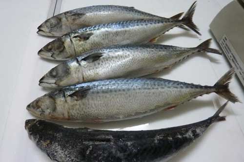 Mẹo hay giúp khử mùi tanh của cá biển nhanh chóng