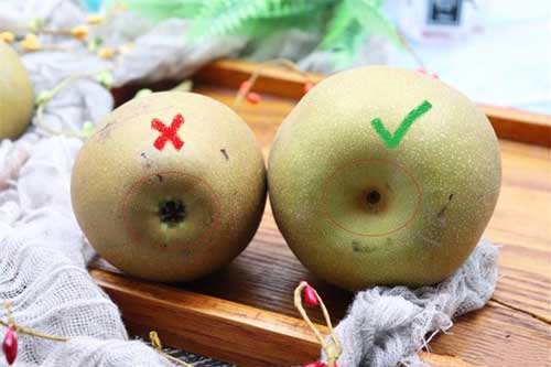 2 bí quyết chọn lê giòn ngọt, không "ngậm" hóa chất