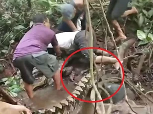 Chật vật giải cứu ngư dân bị trăn khổng lồ quấn chặt