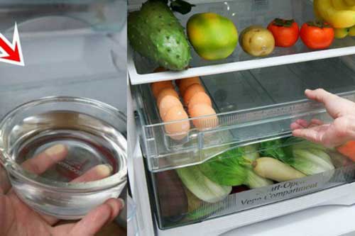 Đặt thứ này vào tủ lạnh, điều kỳ lạ xảy ra với hóa đơn tiền điện, khiến ai cũng bất ngờ