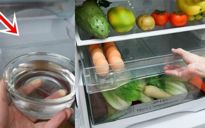 Đặt bát nước vào tủ lạnh tiết kiệm điện