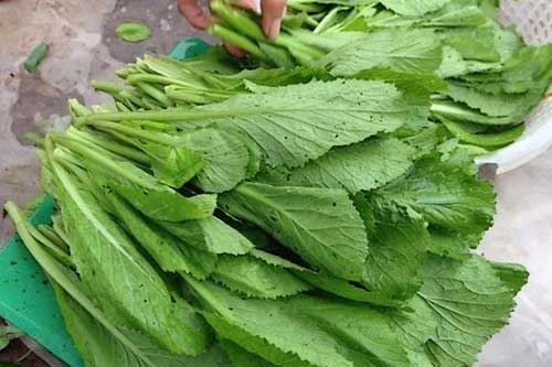 Cách nhận biết các loại rau bị phun hóa chất hiệu quả nhất