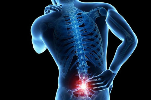 80% các loại bệnh trên cơ thể đều bắt nguồn từ cột sống, nếu muốn khỏe mạnh thì cần phải giữ gìn