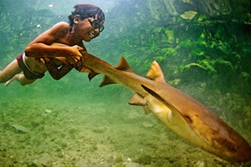Những bí mật về "người cá" trong đời thật