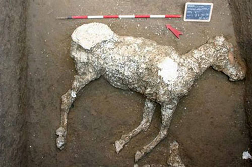 Bí mật về thành phố cổ Pompeii