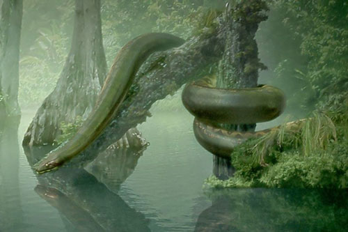 Nếu loài rắn ‘khủng’ nhất Trái Đất còn tồn tại, thế giới động vật sẽ ra sao?