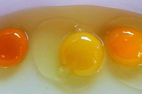 Lòng đỏ trứng có màu sắc đậm - nhạt khác nhau, vậy loại nào là tốt nhất?