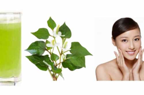 Loại rau tưởng là món ăn quen thuộc này lại chính là "thần dược" trị mụn